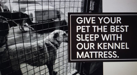 Elevate Your Pet's Comfort: Discover the Magic of Kennel Mattress Pets